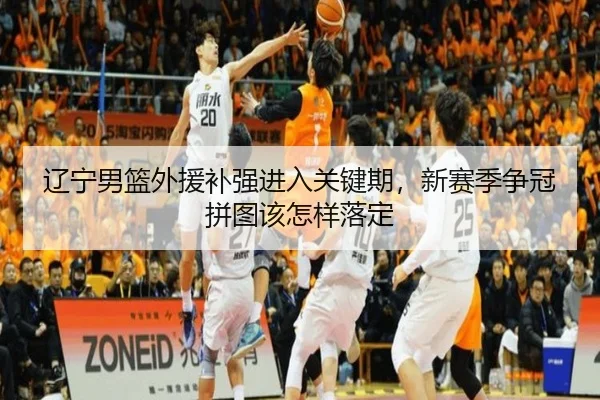 辽宁男篮外援补强进入关键期，新赛季争冠拼图该怎样落定