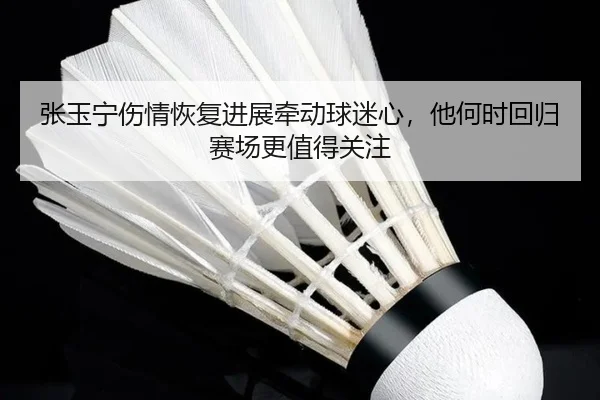 张玉宁伤情恢复进展牵动球迷心，他何时回归赛场更值得关注