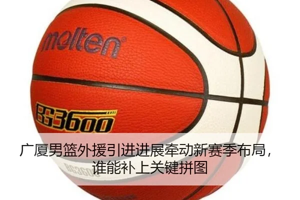 广厦男篮外援引进进展牵动新赛季布局，谁能补上关键拼图